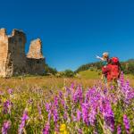 Montaillou, village occitan