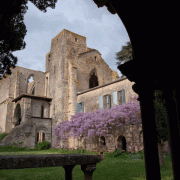 L'Abbaye de Villelongue