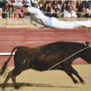 Musée de la Course landaise - Saut