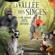 La vallée des Singes