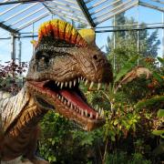 Le Dinosaurium