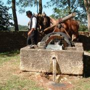 Châteauneuf de Gadagne