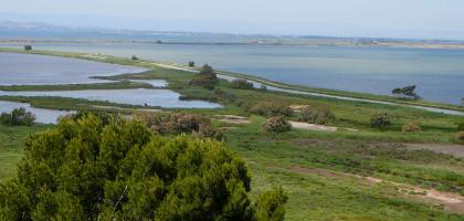 L'ile du Narbonnais 